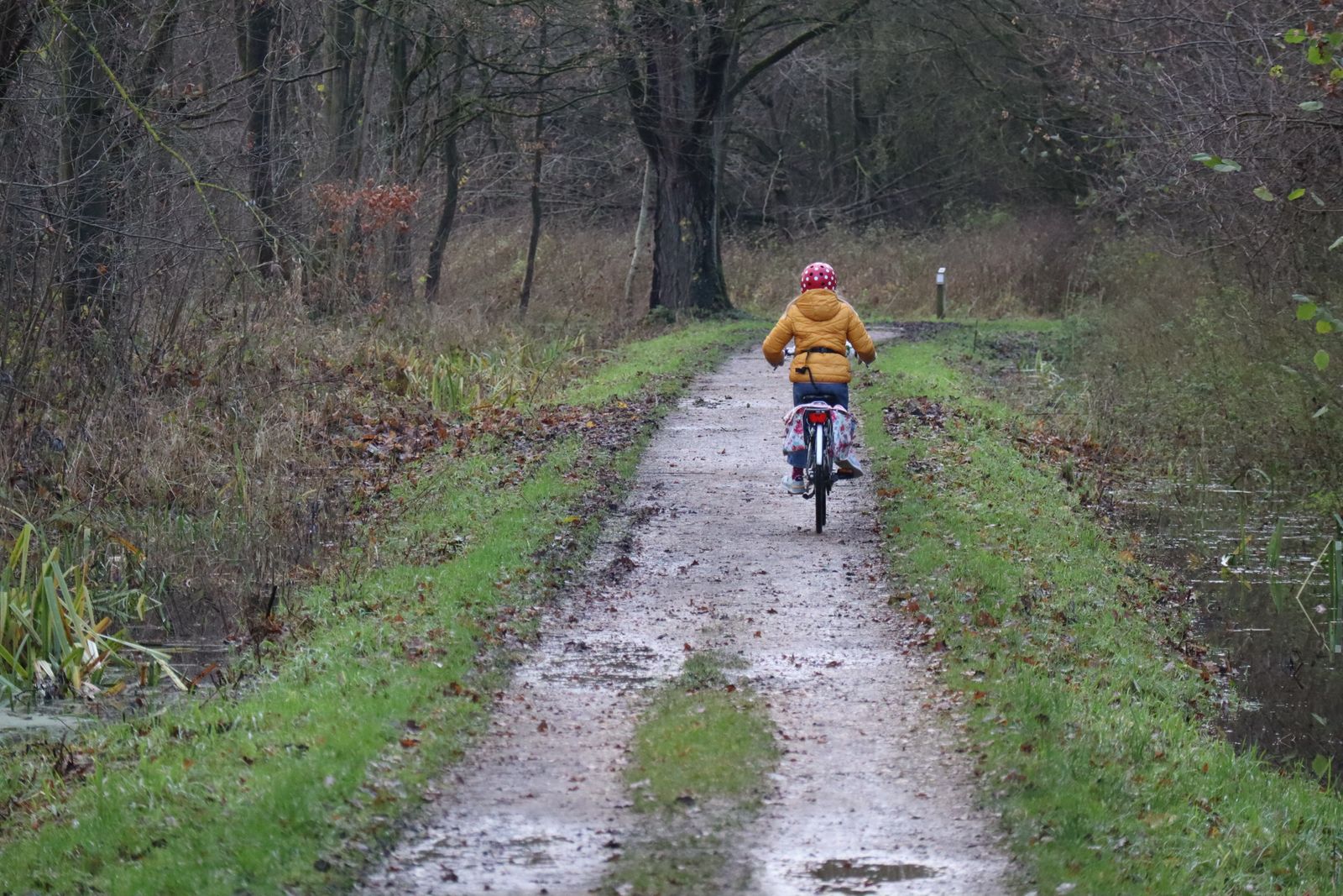 Enfant casqué à vélo sur un chemin en forêt